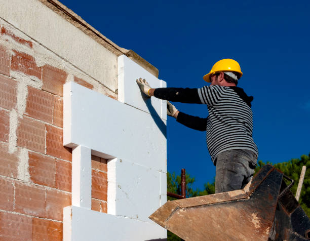 Best Commercial Insulation in Manila, AR
