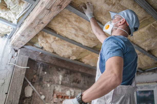Best Insulation Installation Services in Manila, AR